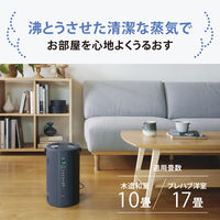 象印マホービン スチーム式加湿器 EE-TB60-BM 1個