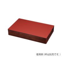 アズワン TKG 和風ビュッフェ用プレート 耐熱ABS 1/1 朱 63-1260-17 1個（直送品）