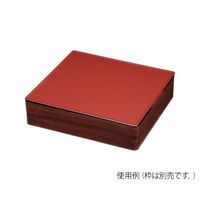 アズワン TKG 和風ビュッフェ用プレート 耐熱ABS 2/3 朱 63-1260-22 1個（直送品）