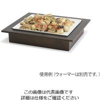 遠藤商事 ガストロノームパンサイズトレイ 1/2 PA549-1/2 1個 63-1260-29（直送品）