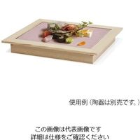 遠藤商事 クーリングプレート 涼 1/2 CT101J 1個 63-1260-34（直送品）