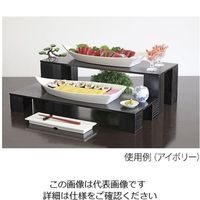 アズワン 寿司プラター 20インチ ブラック 63-1262-90 1個（直送品）