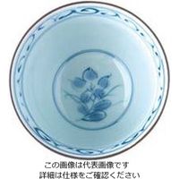松尾商店 反り方煎茶碗 桔梗 5客セット 63-1655-62 1セット(5客)（直送品）