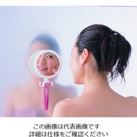 ケィ・マック くもらないミラー S F-173 1枚 63-2986-73（直送品）