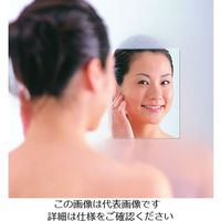 ケィ・マック くもらないはるピタ S F-195 1枚 63-2986-77（直送品）