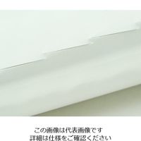 ホワイトマックス KS粘着デカコロIIDXスペアテープ 160mm×90周巻 72本入 G101 1ケース(72本) 62-9848-85（直送品）