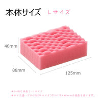 キクロン キクロンPRO スポンジ U-600 1個 63-5703-18