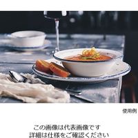 ローヤル物産 クーププレート 19cm ANF-040 1個 63-5714-94（直送品）