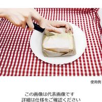 アートナップ サンドイッチシート 10枚入 ACF-13 1セット(10枚) 63-5722-38（直送品）