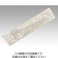中央化学 FDデザートスプーン100 単袋入 8000本 643007 1箱(8000本) 64-1213-66（直送品）