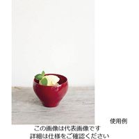 丸十 デザートカップ 朱 CH018-3 1個 64-2536-43（直送品）