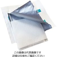 ウェットティッシュ 除菌シート 柳瀬 携帯除菌シートパック　Ｌ　100枚入 RO-JP2 1箱(100枚) 7-9177-02