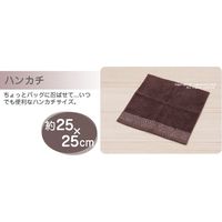 センコー M+home　ブロンクスリム　ミニ　タオル　約25×25cm　ブラウン M+171007 1個（直送品）
