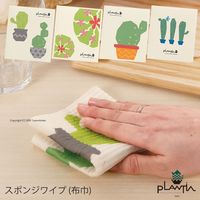 センコー SDS　サボフラワー　スポンジワイプ　約20×17cm　ピンク SDS191025 1個（直送品）