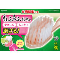 生葉（しょうよう） もふもふ磨けるブラシ コンパクト やわらかめ 小林製薬 歯ブラシ