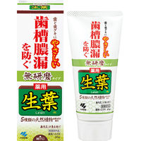 歯磨き粉 生葉（しょうよう） 無研磨タイプ 歯槽膿漏を防ぐ 薬用ハミガキ ハーブミント味 95g 小林製薬