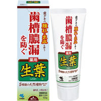 生葉（しょうよう） 歯槽膿漏を防ぐ 薬用ハミガキ ハーブミント味 100ｇ 小林製薬 歯磨き粉