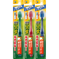 生葉（しょうよう）極幅ブラシ レギュラーヘッド やわらかめ 小林製薬 歯ブラシ 歯周病 歯槽膿漏