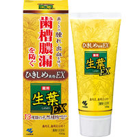 生葉EX（しょうようEX） 歯槽膿漏を防ぐ 薬用ハミガキ ハーブミント味 100ｇ 小林製薬 歯磨き粉