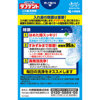入れ歯洗浄剤 小林製薬のタフデント クリア除菌 強力ミント 1箱（108錠入） 小林製薬