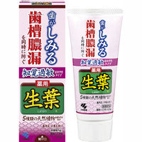 歯磨き粉 生葉（しょうよう） 知覚過敏症状予防タイプ 歯槽膿漏を防ぐ 薬用ハミガキ ハーブミント味 100g 小林製薬