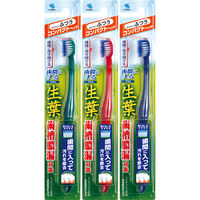 生葉（しょうよう）歯間に入るブラシ コンパクト ふつう 小林製薬 歯ブラシ 歯周病 歯槽膿漏