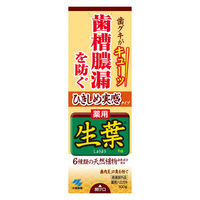 ひきしめ生葉（しょうよう） 歯槽膿漏を防ぐ 薬用ハミガキ ハーブミント味 100g 小林製薬 歯磨き粉