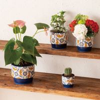 ヘッズ ハンドメイドプリントフラワーポット-SS/ネイビー HNP-PONSS 1セット（6個：6個×1パック）（直送品）