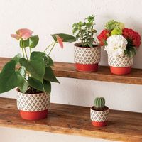ヘッズ ハンドメイドプリントフラワーポット-M/レッド HNP-PORM 1セット（4個：4個×1パック）（直送品）