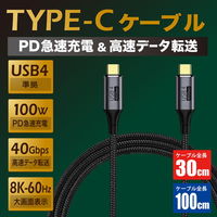 日本トラストテクノロジー USB4.0 マルチファンクショナルデータケーブル 1m JTU4CC10-BK 1本