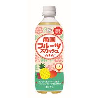 伊藤園 不二家 南国フルーツスカッシュ 500ml ペットボトル 1セット（48本）