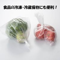 ポリ袋 食品保存袋 キッチンパック マチ付き M 半透明  エンボス加工 25×35cm 1箱（250枚入）宇部フィルム