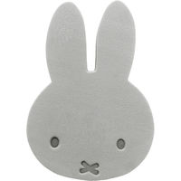 ミッフィー 超吸水スポンジ 1個 オカトー