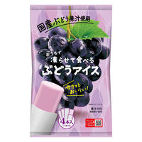 アイス シャーベット 凍らせて食べる　ぶどうアイス 4本入 70g 1セット（1個×3）