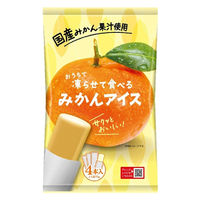 アイス シャーベット 凍らせて食べる　みかんアイス 4本入 70g 1セット（1個×3）