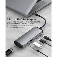 Vodaview USBーC to OTG 5 in 1 HUB PD60W VV-USB368-VV 1本
