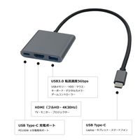 Vodaview USBーCtoマルチHUBアダプタ HDMI 4K2K PD100W 30cm VV-UCHDDOCK3-SV 1本
