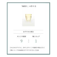 割り材 焼酎用うめエキス 割梅 ペット 1000ml 1本 宮崎本店 キンミヤ