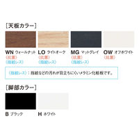 【軒先渡し】ニシキ工業 スタックテーブル 幅1200×奥行700×高さ720mm ウォルナット×BLK ATLQ-B1270KP-WN 1台（直送品）