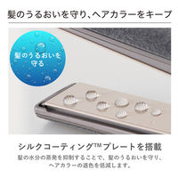 ストレート ヘアアイロン 25mm シルクコーティング プロテクトイオン スモーキーグレー NIS500B-H テスコム 1個（直送品）