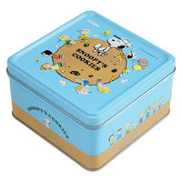 クッキー ビスケット スヌーピー エンボス缶 チョコチップ 70g 1セット（1個×3） 北陸製菓