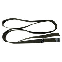 プラウド タイダウンベルト 2本入 PGR-526 1個（直送品）