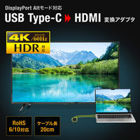 サンワサプライ USB Type CーHDMI変換アダプタ(4K/60Hz/HDR) AD-ALCHDR04TK 1個