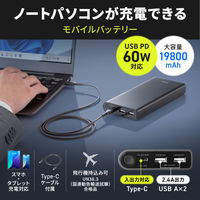 サンワサプライ USB PD対応モバイルバッテリー(19800mAh・PD60W) BTL-RDC37 1個