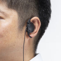 サンワサプライ ワイヤレスガイド用イヤホン(子機用) MM-WGS5R-HP1 1個