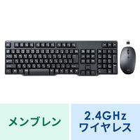 サンワサプライ 静音マウス付き2.4GHzワイヤレスキーボード(TypeーC接続) SKB-WL40CSETBK 1個
