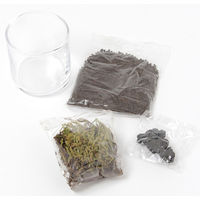 育てるグリーン(MOSS)2 MOSS LAKOLE/ラコレ