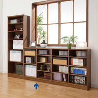 大洋 Shelfit バリュープライスカラーラック 幅865×奥行310×高さ881mm NC9090ダイワ (LN) 1台（直送品）