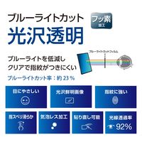 ナカバヤシ iPad Air13インチ用 液晶保護フィルム 光沢・ブルーライトカット TBF-IPA242FLKBC 1個