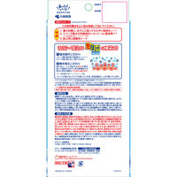 小林製薬 熱さまシート 強冷感 大人用  1セット（60枚：12枚入×5箱）